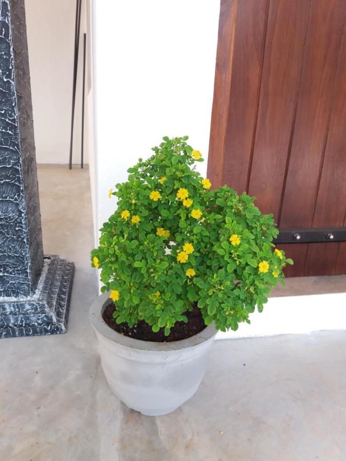 Cashew Villa Hiriketiya Dikwella Ngoại thất bức ảnh