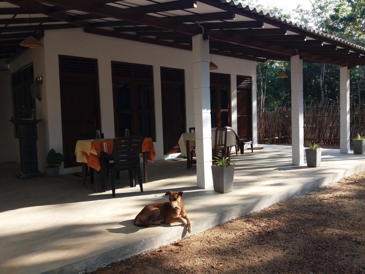Cashew Villa Hiriketiya Dikwella Ngoại thất bức ảnh