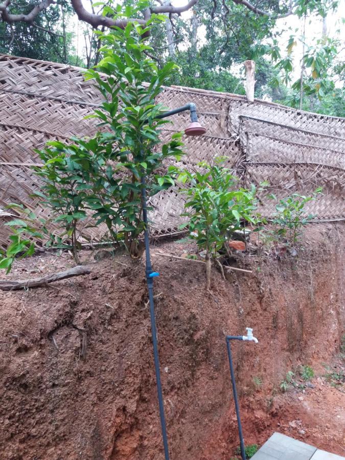 Cashew Villa Hiriketiya Dikwella Ngoại thất bức ảnh