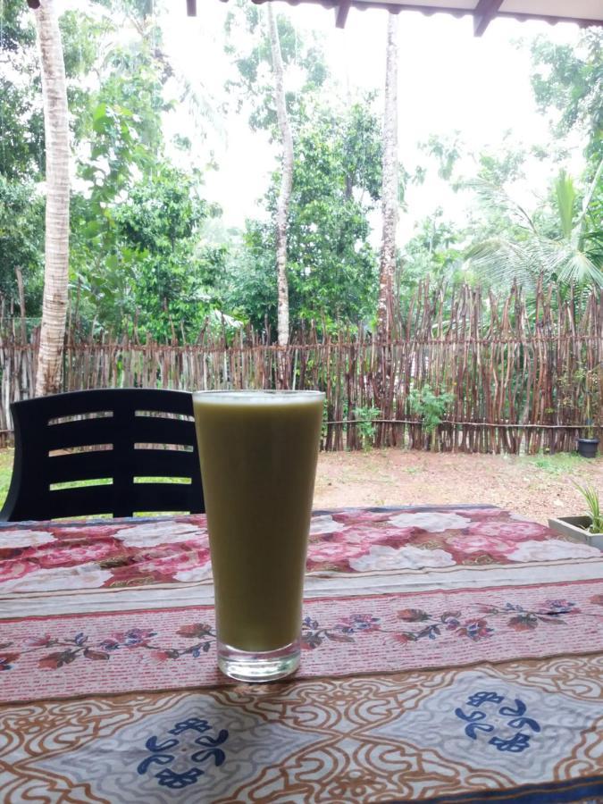 Cashew Villa Hiriketiya Dikwella Ngoại thất bức ảnh