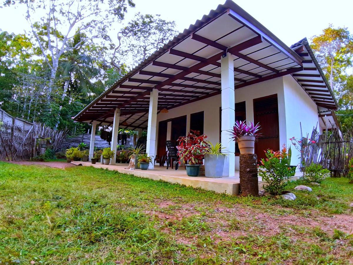Cashew Villa Hiriketiya Dikwella Ngoại thất bức ảnh