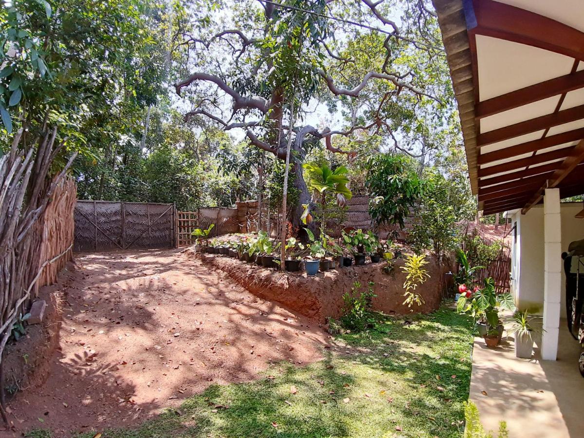 Cashew Villa Hiriketiya Dikwella Ngoại thất bức ảnh